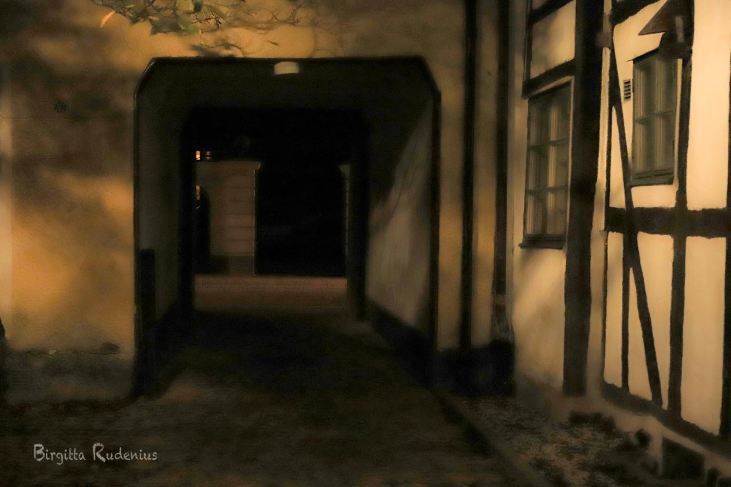 © Birgitta Rudenius