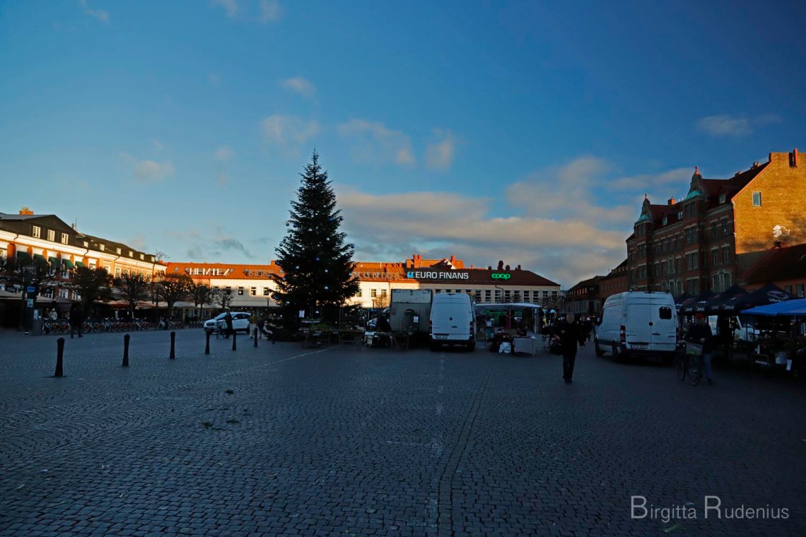 © Birgitta Rudenius