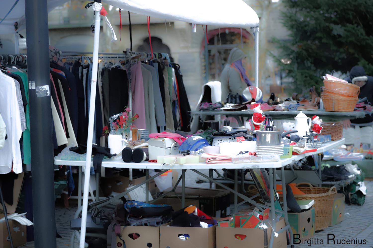 © Birgitta Rudenius