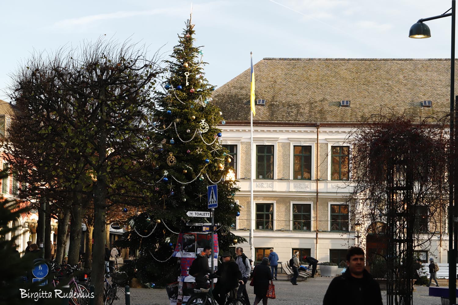 © Birgitta Rudenius