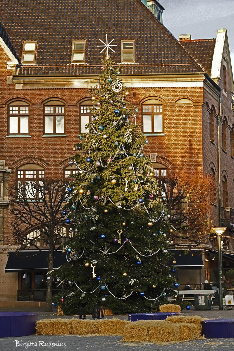 © Birgitta Rudenius