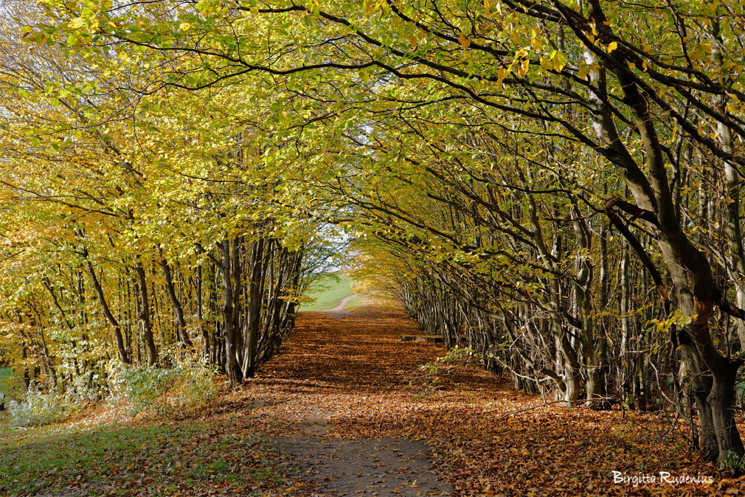 foto Birgitta Rudenius