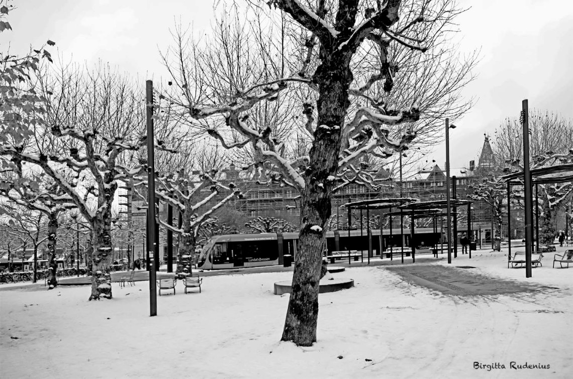 © Birgitta Rudenius