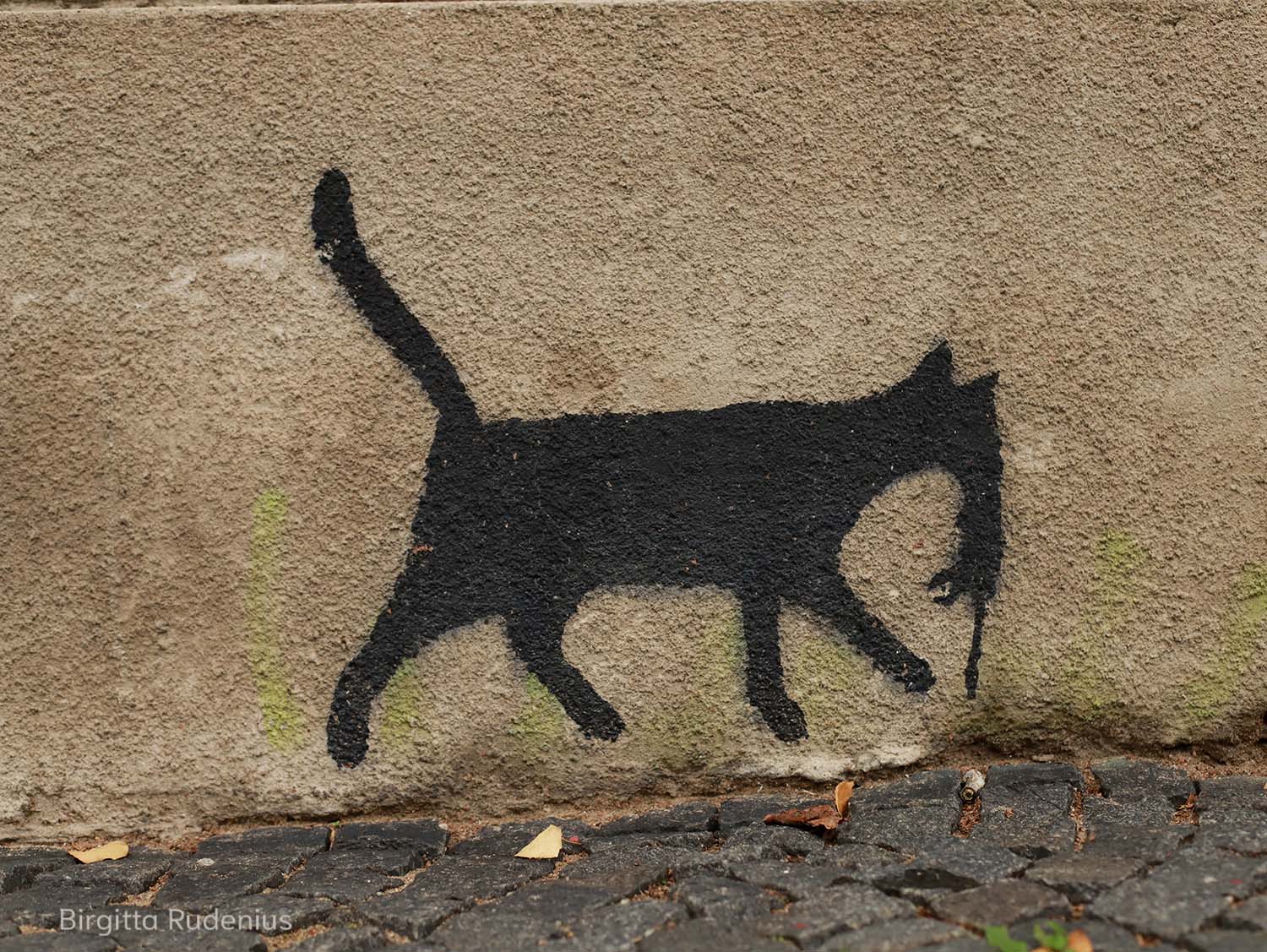 foto Birgitta Rudenius