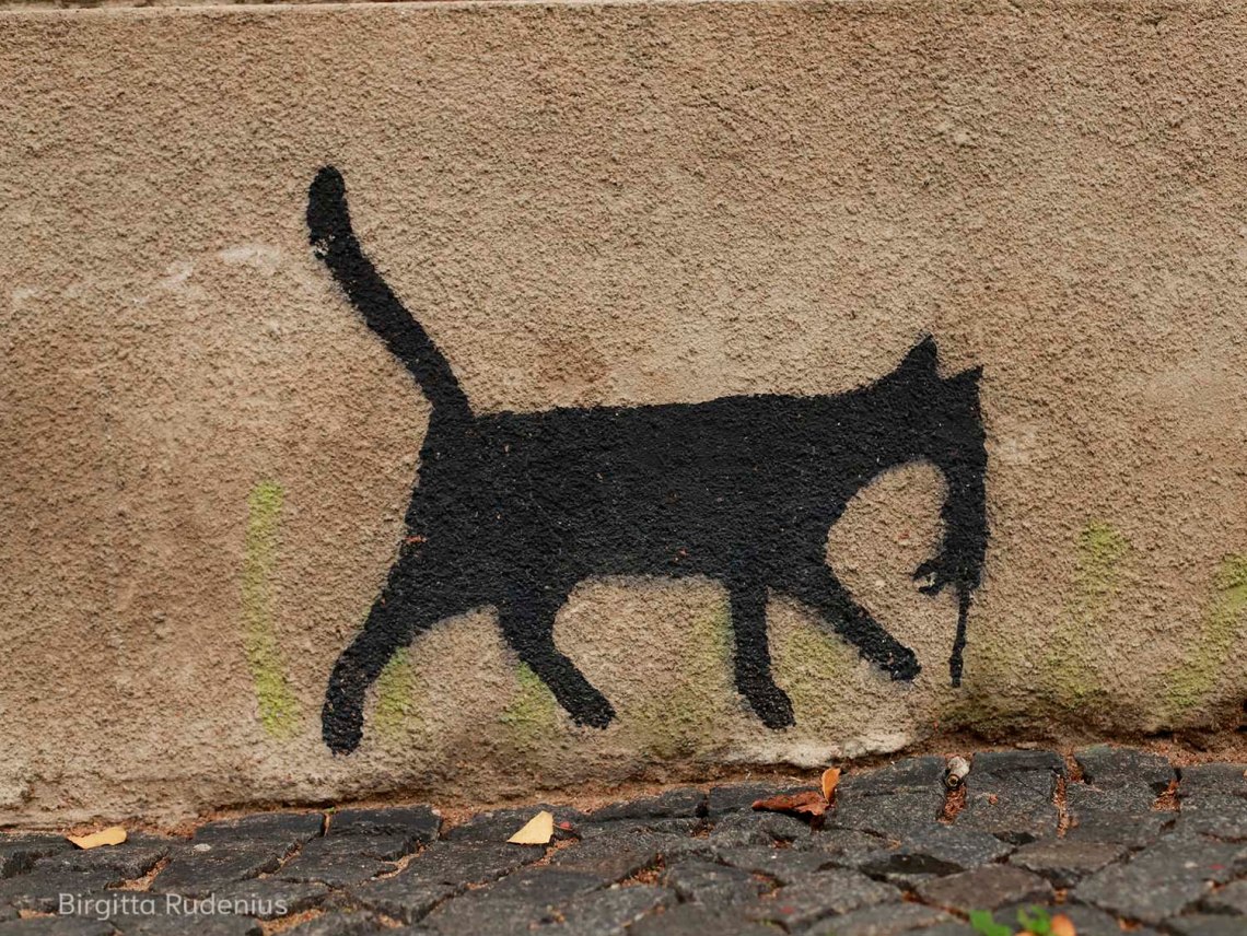 foto Birgitta Rudenius