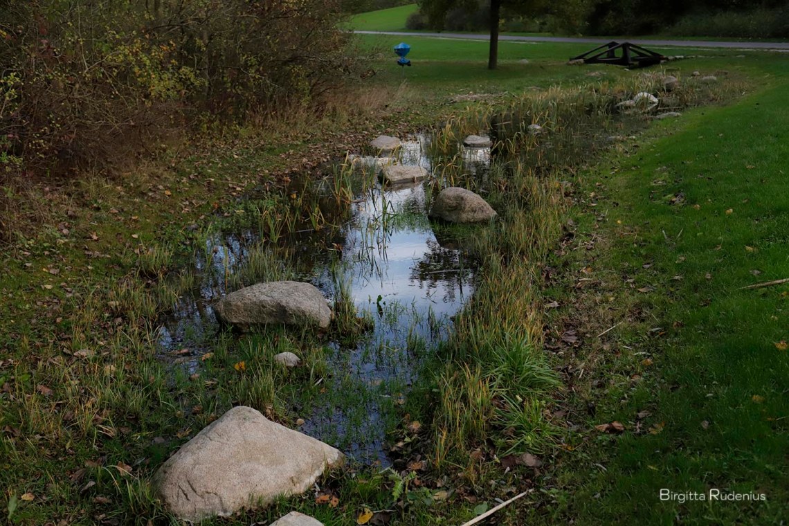 © Birgitta Rudenius