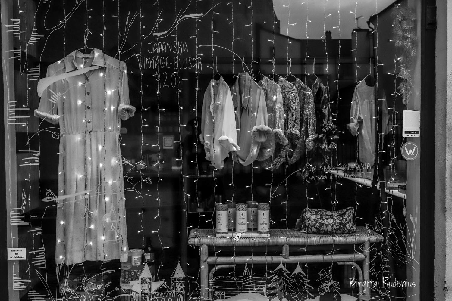 © Birgitta Rudenius