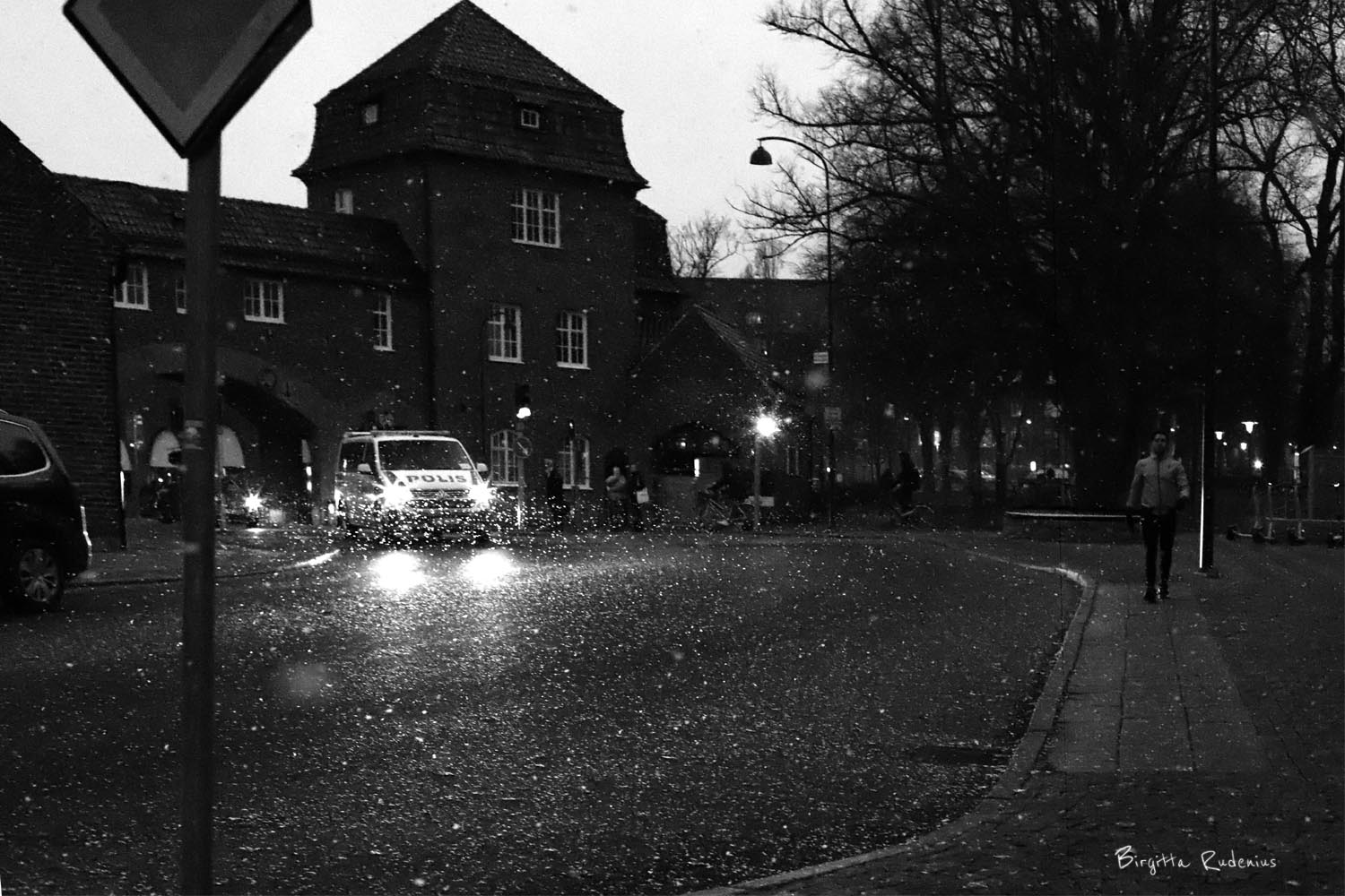 © Birgitta Rudenius