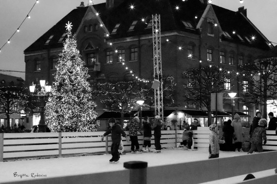 © Birgitta Rudenius