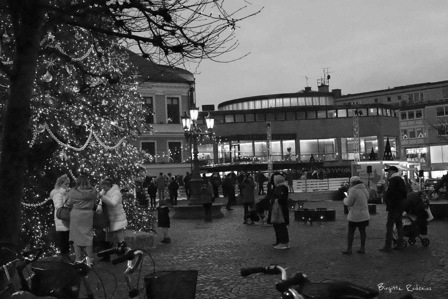 © Birgitta Rudenius