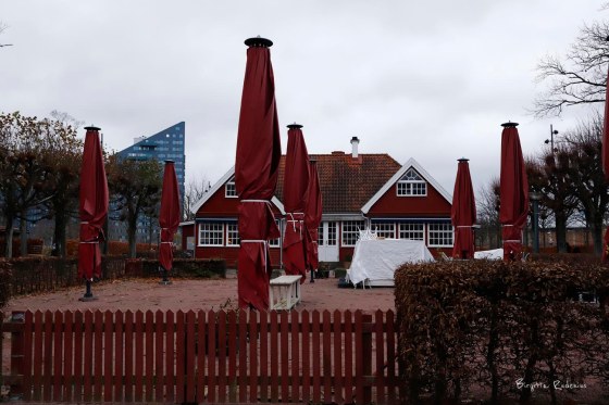 © Birgitta Rudenius