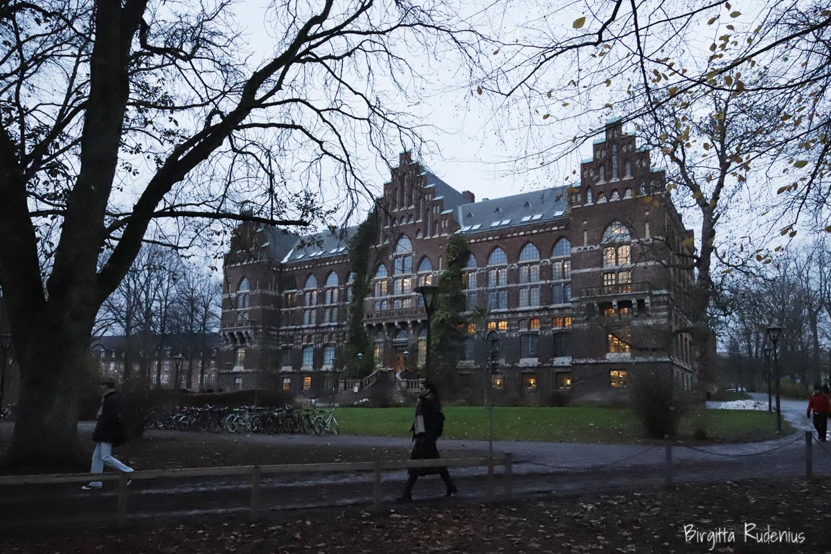 © Birgitta Rudenius