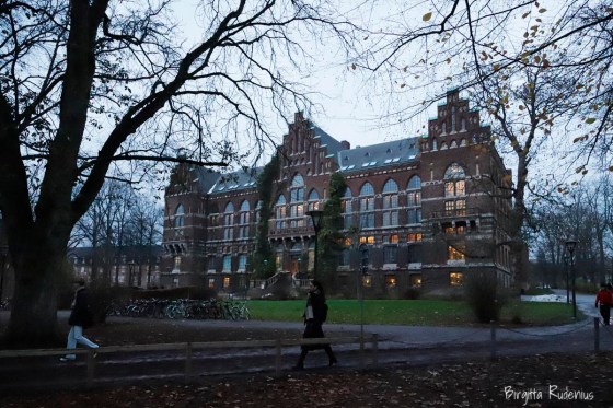 © Birgitta Rudenius