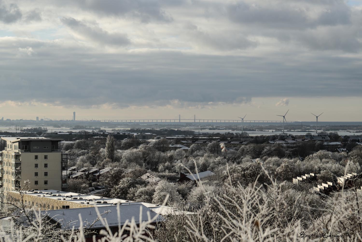 © Birgitta Rudenius