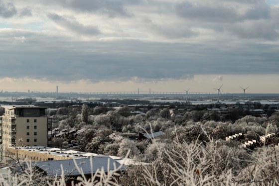 © Birgitta Rudenius