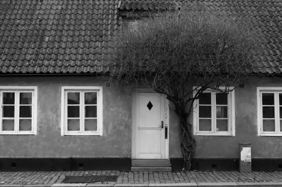 © Birgitta Rudenius