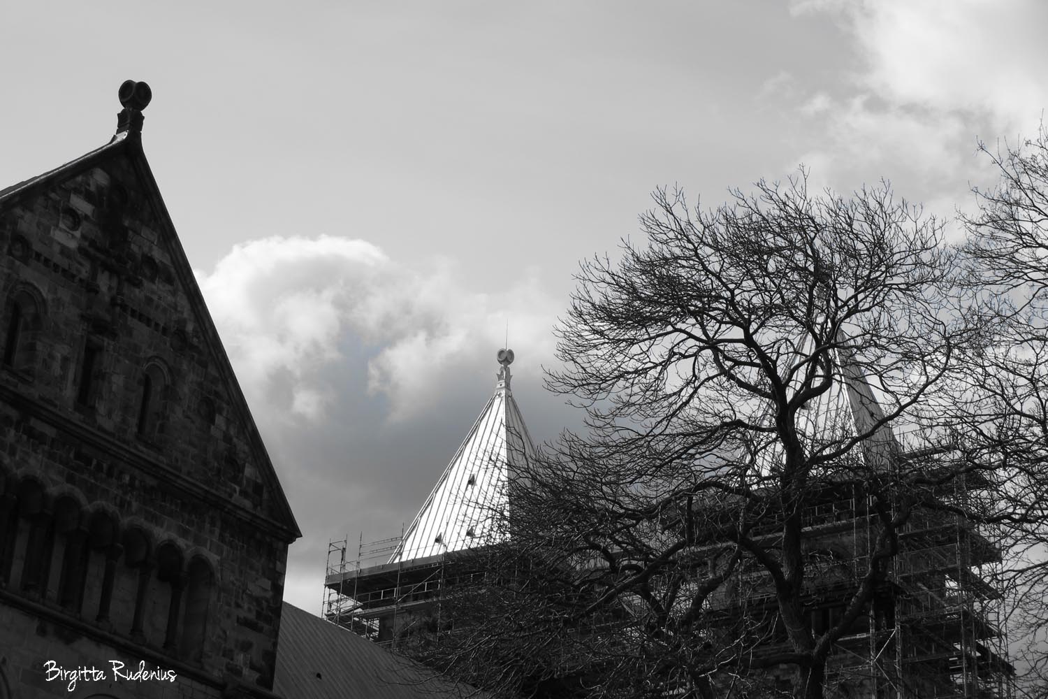 Photo © Birgitta Rudenius