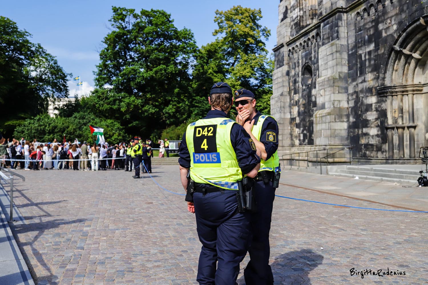 Photo ©BirgittaRudenius