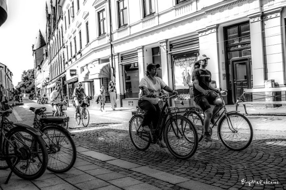 Photo ©BirgittaRudenius