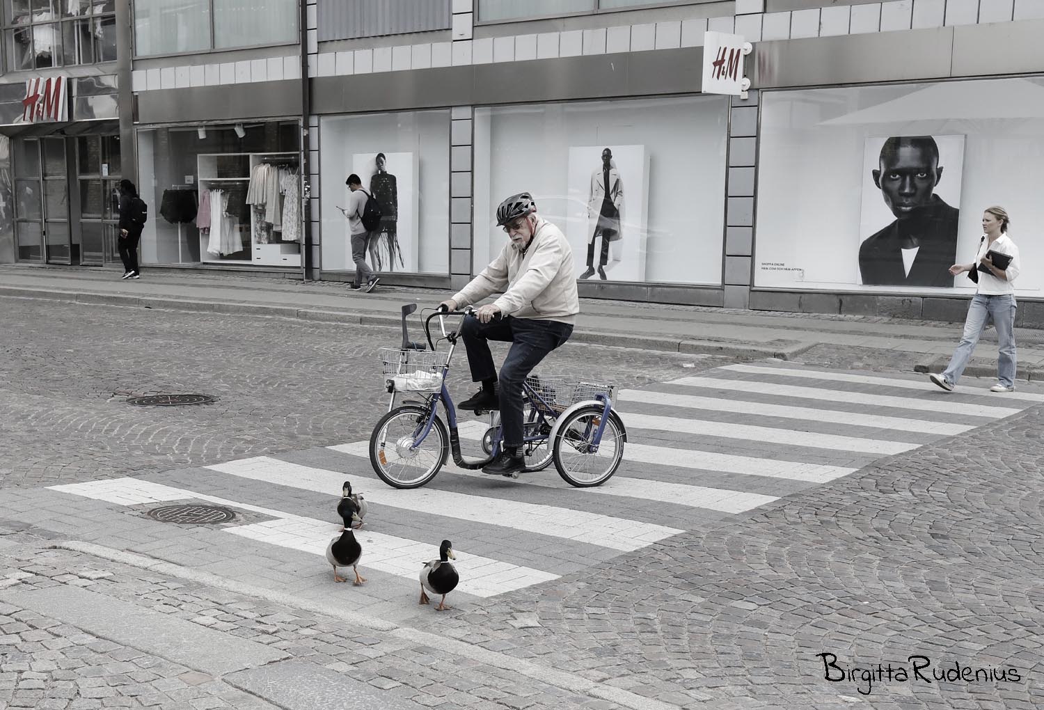 Photo ©BirgittaRudenius